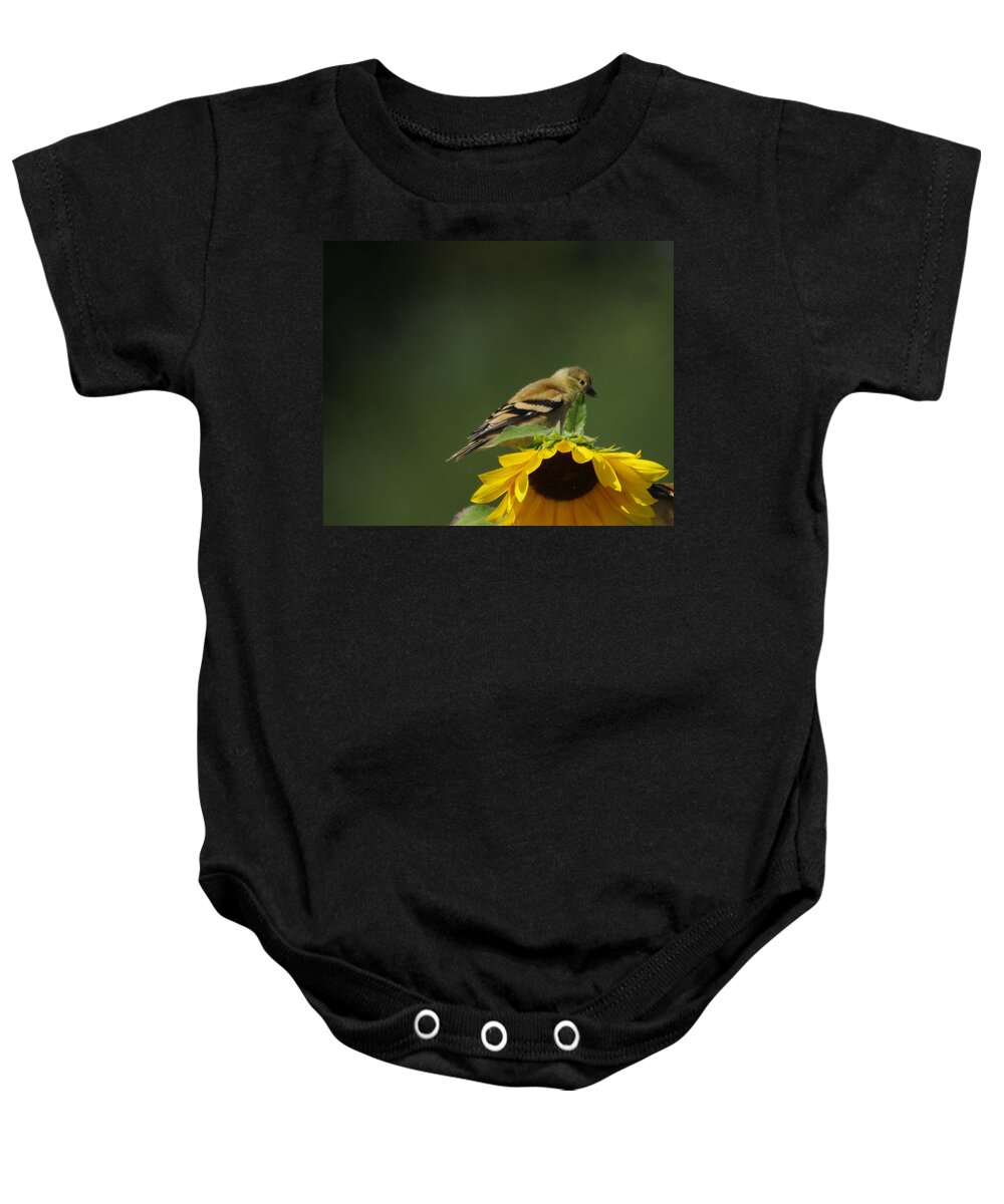 Bird Baby Onesie featuring the photograph Bird on a flower by Jeff Swan
