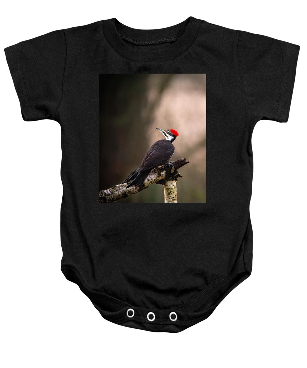Canada Baby Onesie featuring the photograph Birds of BC - No.6 - Pileated Woodpecker - Dryocopus pileatus by Paul W Sharpe Aka Wizard of Wonders