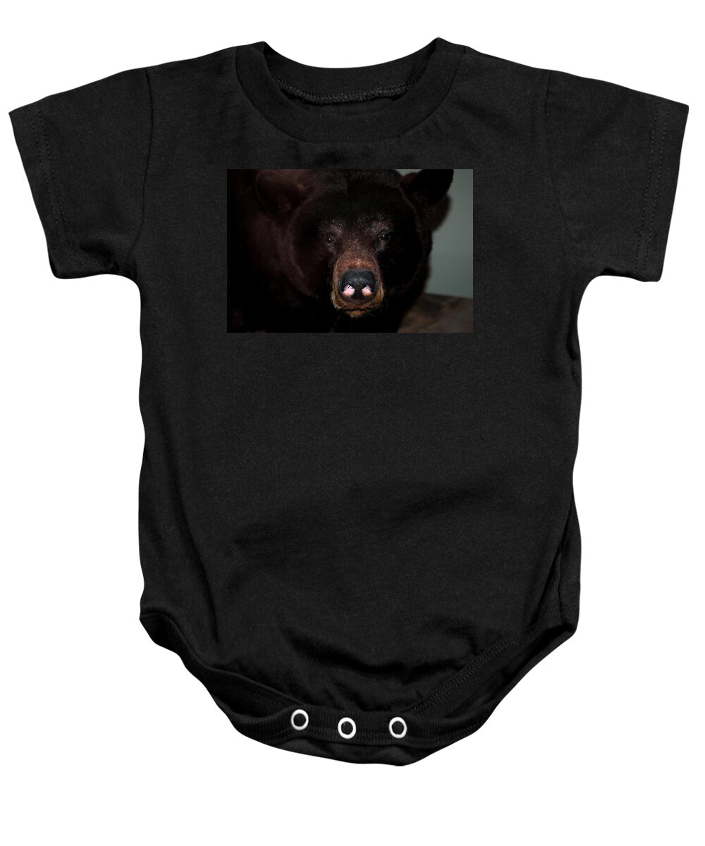 Usa Baby Onesie featuring the photograph Black Bear sniff by LeeAnn McLaneGoetz McLaneGoetzStudioLLCcom