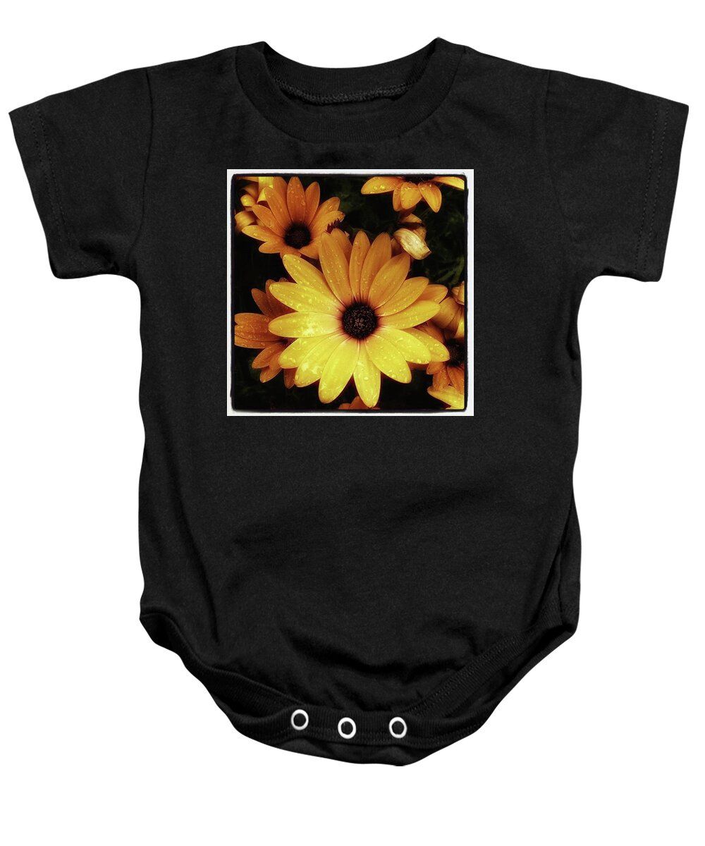Flowers Baby Onesie featuring the photograph Black Eyed Susans. Looks Like They're by Mr Photojimsf