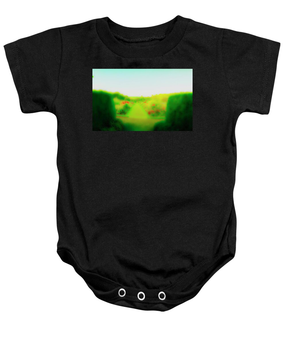  Railroad Baby Onesie featuring the photograph Blooms in Sun by Jan W Faul