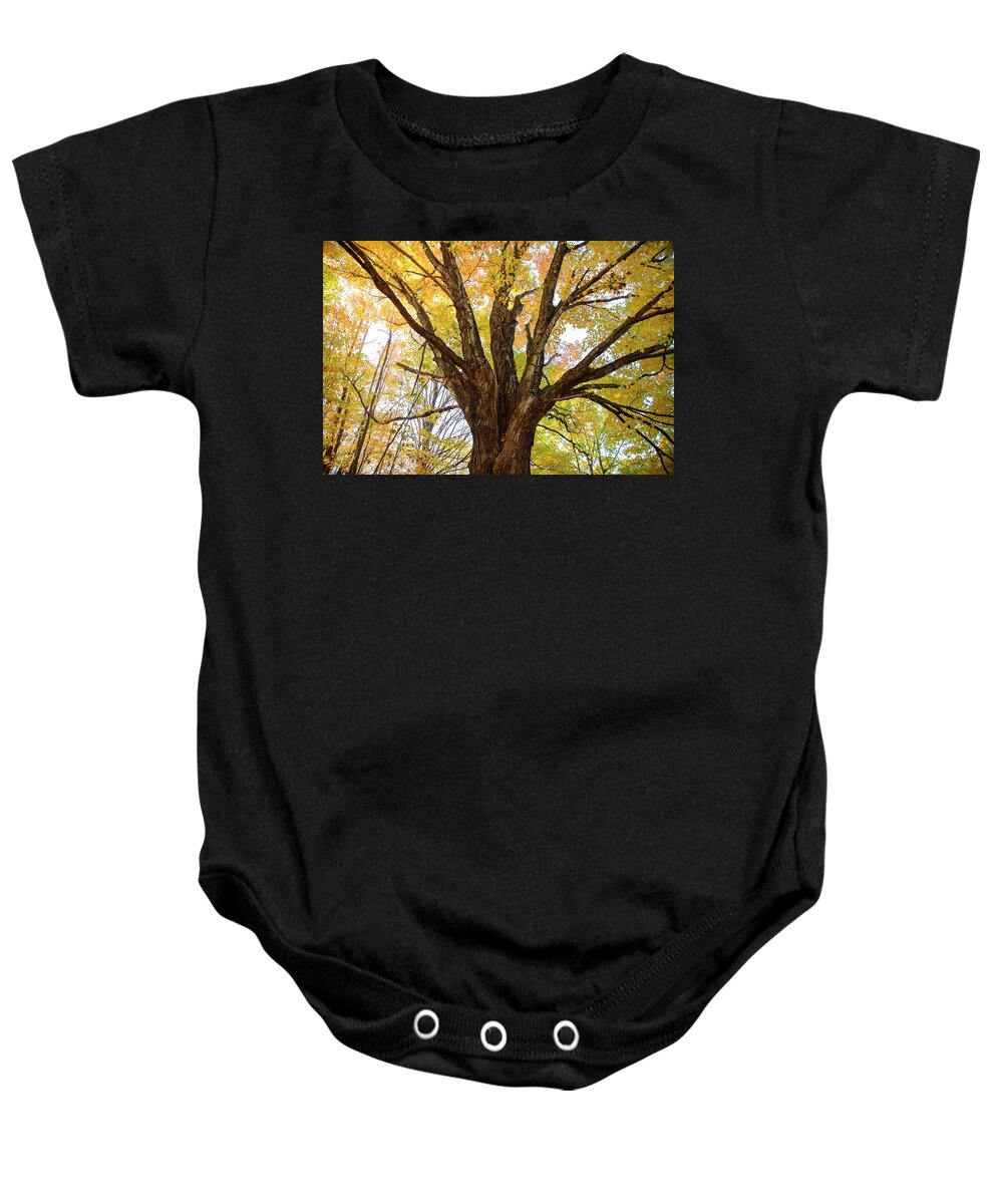 Branches Baby Onesie featuring the photograph Branches by Alana Ranney