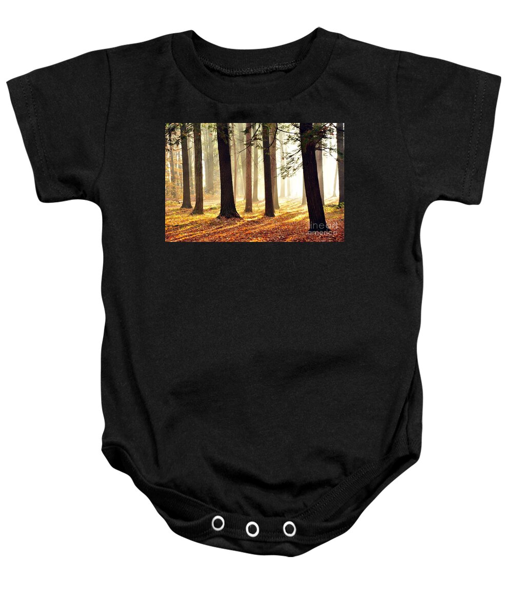 Forest Baby Onesie featuring the photograph Kenwood Park by Terri Gostola