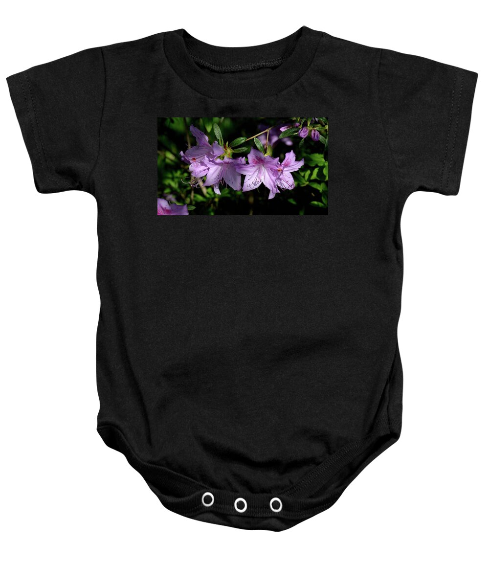 Azaleas Baby Onesie featuring the photograph Buds And Blooms by Angie Tirado