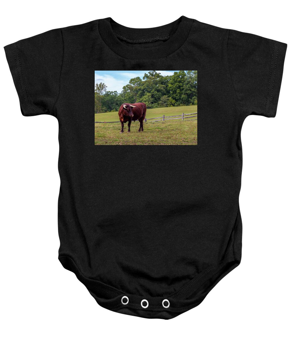  Bull Baby Onesie featuring the photograph Bull in Field by Ed Clark