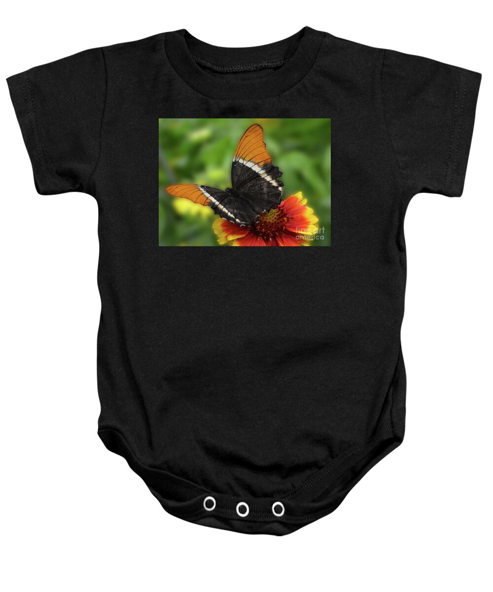 Flowers Baby Onesie featuring the photograph Butterfly in Brown by Cindy Manero