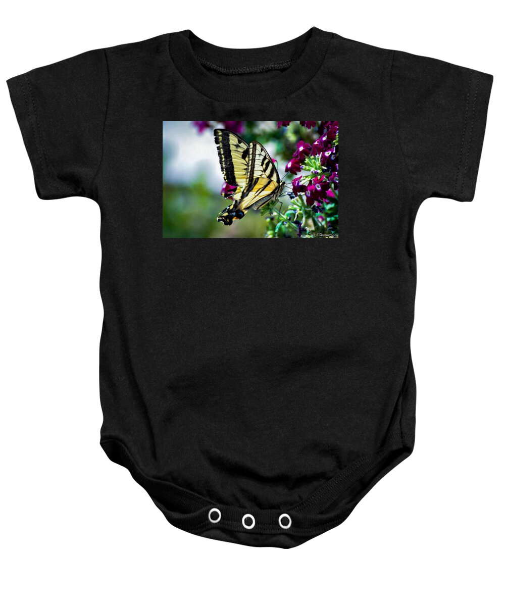 Butterflies Baby Onesie featuring the photograph Butterfly on Purple Flowers by Wendy Carrington