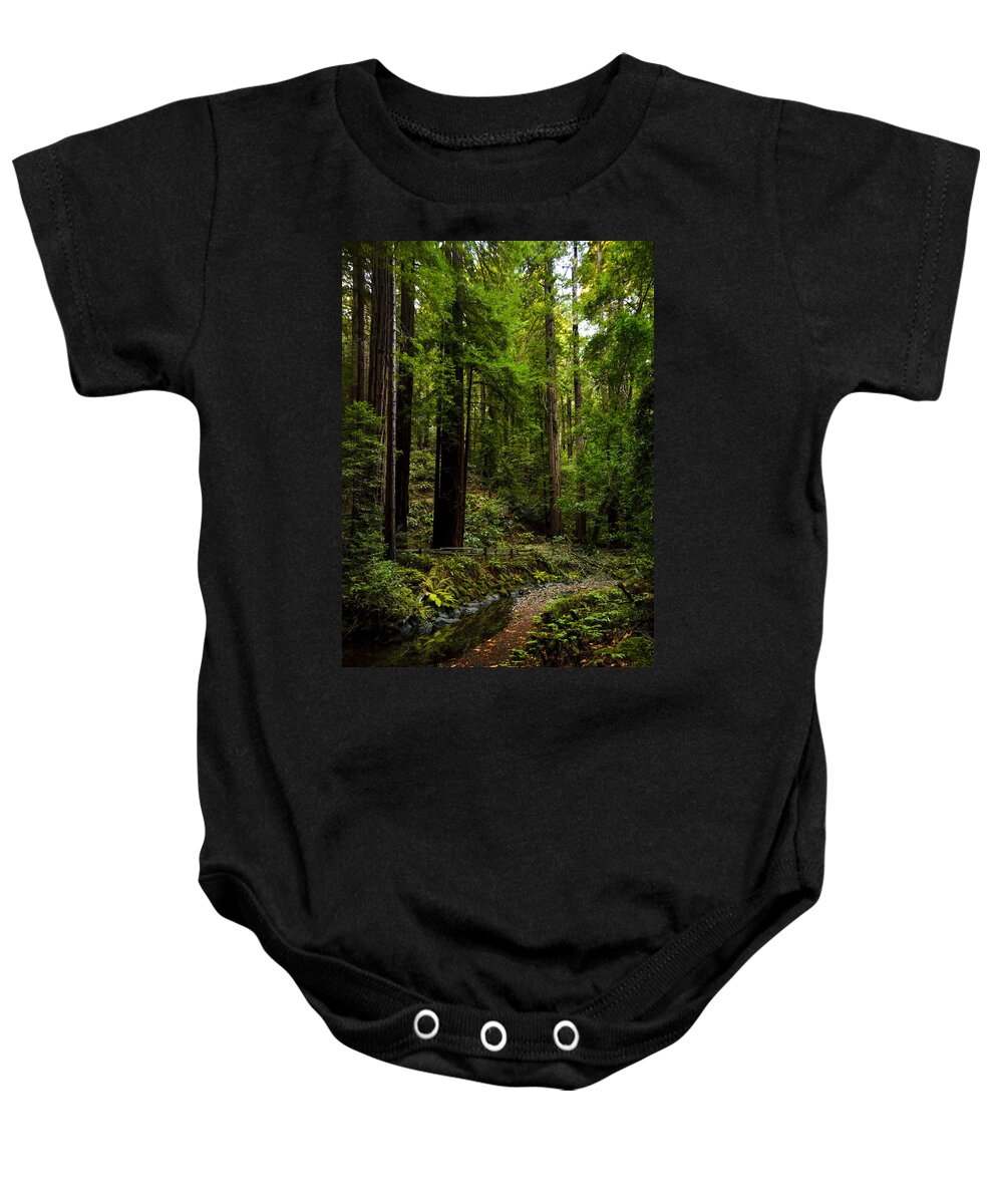 Nature Baby Onesie featuring the photograph By the Stream in Muir Woods by Brian Tada