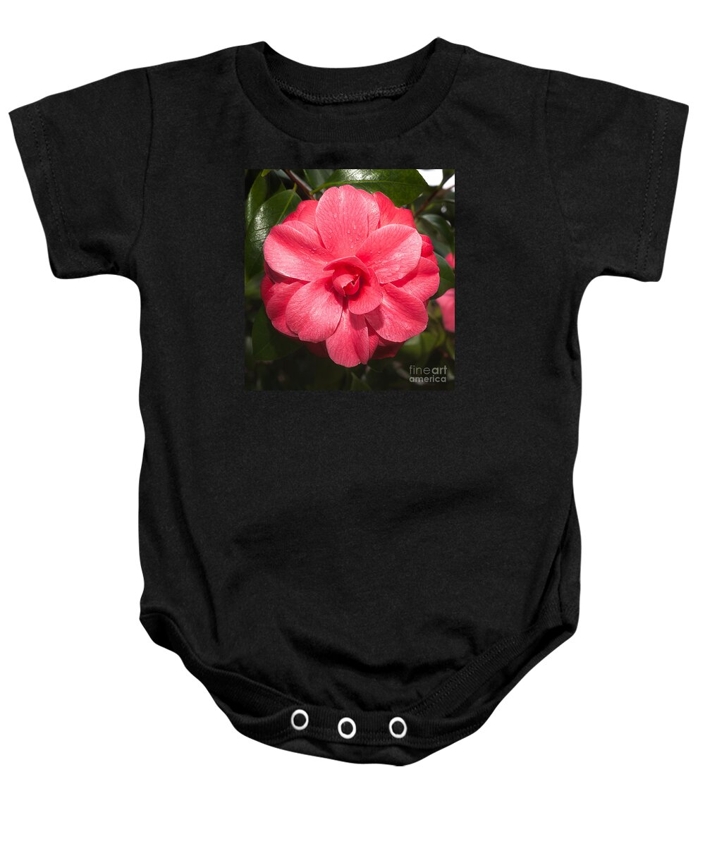 Flower Baby Onesie featuring the photograph Camellia japonica ' Mathotiana Rosea' by Ann Jacobson