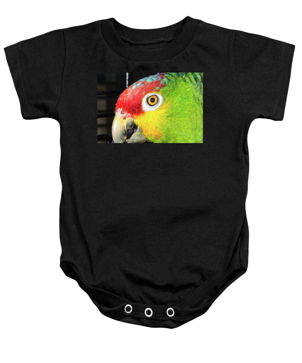 Red-lored Amazon Parrot Green Bird Red Yellow Red Eye Beak Macro Baby Onesie featuring the photograph Can't You See I'm Eating? by Robert Culver