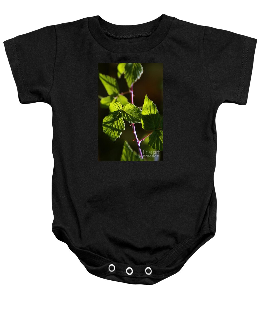 Vine Baby Onesie featuring the photograph Captured In Morning Light by Linda Shafer