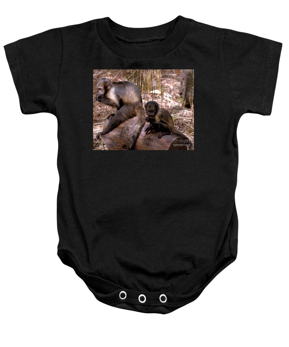 Animal Baby Onesie featuring the photograph Brown Capuchin Monkeys by Stephen Melia