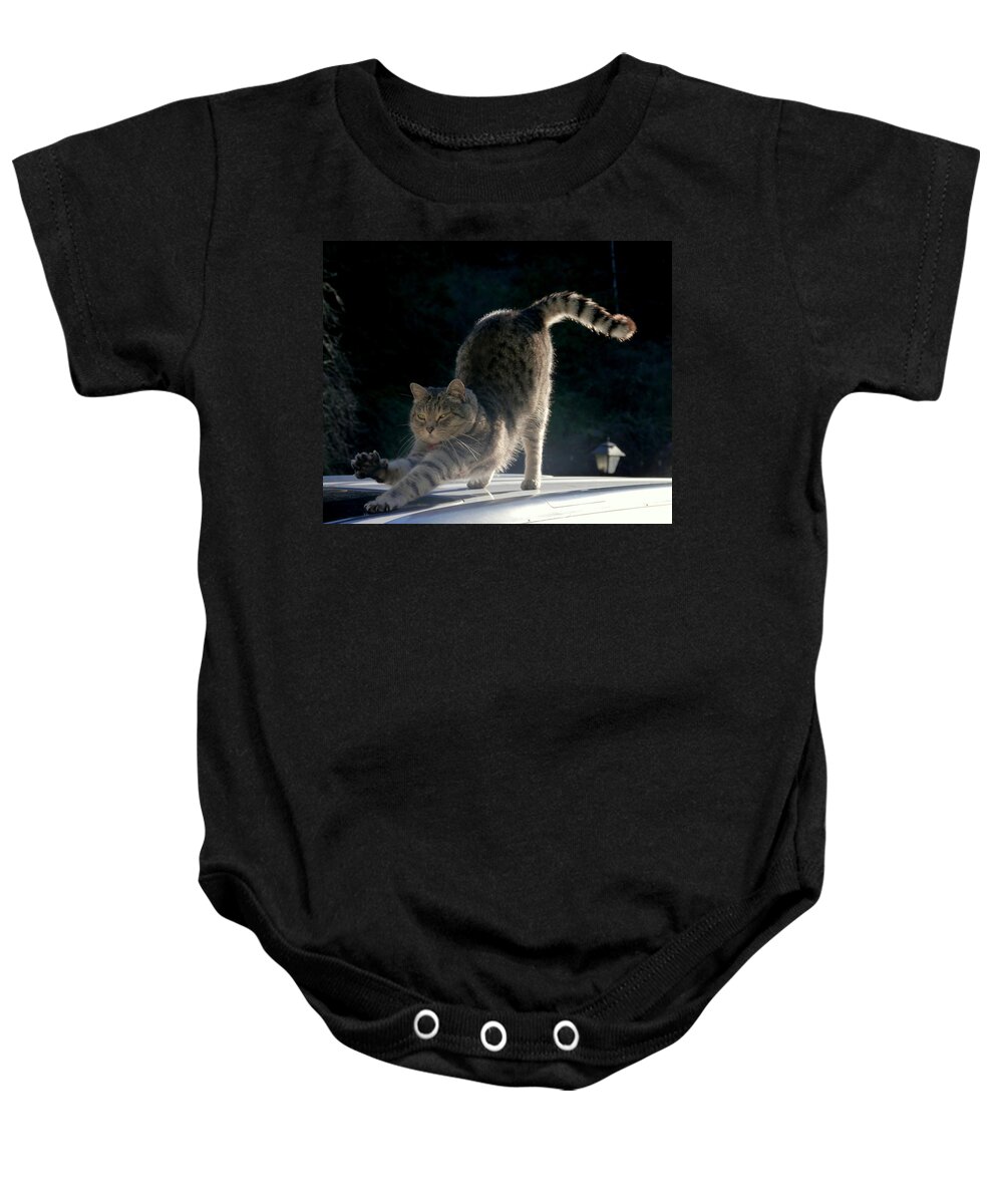 Cat Baby Onesie featuring the photograph Cat Yoga by Peter Mooyman