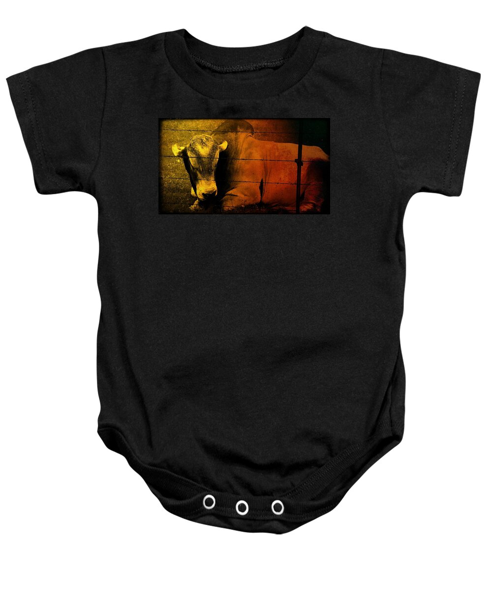 Cow Baby Onesie featuring the photograph Cattle in Sunny Texas by Marisela Mungia