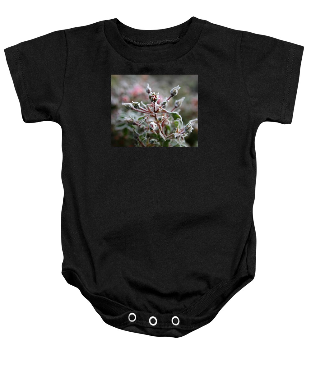 Plant Baby Onesie featuring the photograph Christmas Miniature Rosebuds by KATIE Vigil
