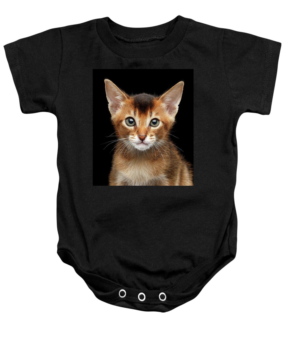 Aby Baby Onesie featuring the photograph Closeup Abyssinian Kitty Curious Looking in Camera, Isolated Black Background by Sergey Taran