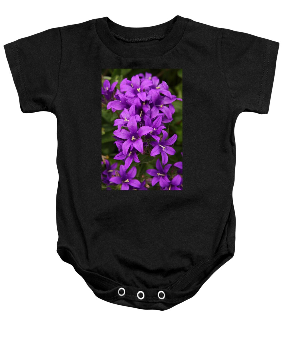Flower Baby Onesie featuring the photograph Clustered Bellflower by Lyle Hatch