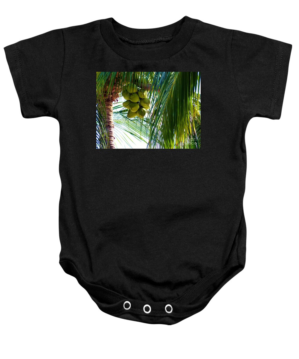 Palm Trees Baby Onesie featuring the photograph Coconuts by Rosanne Licciardi