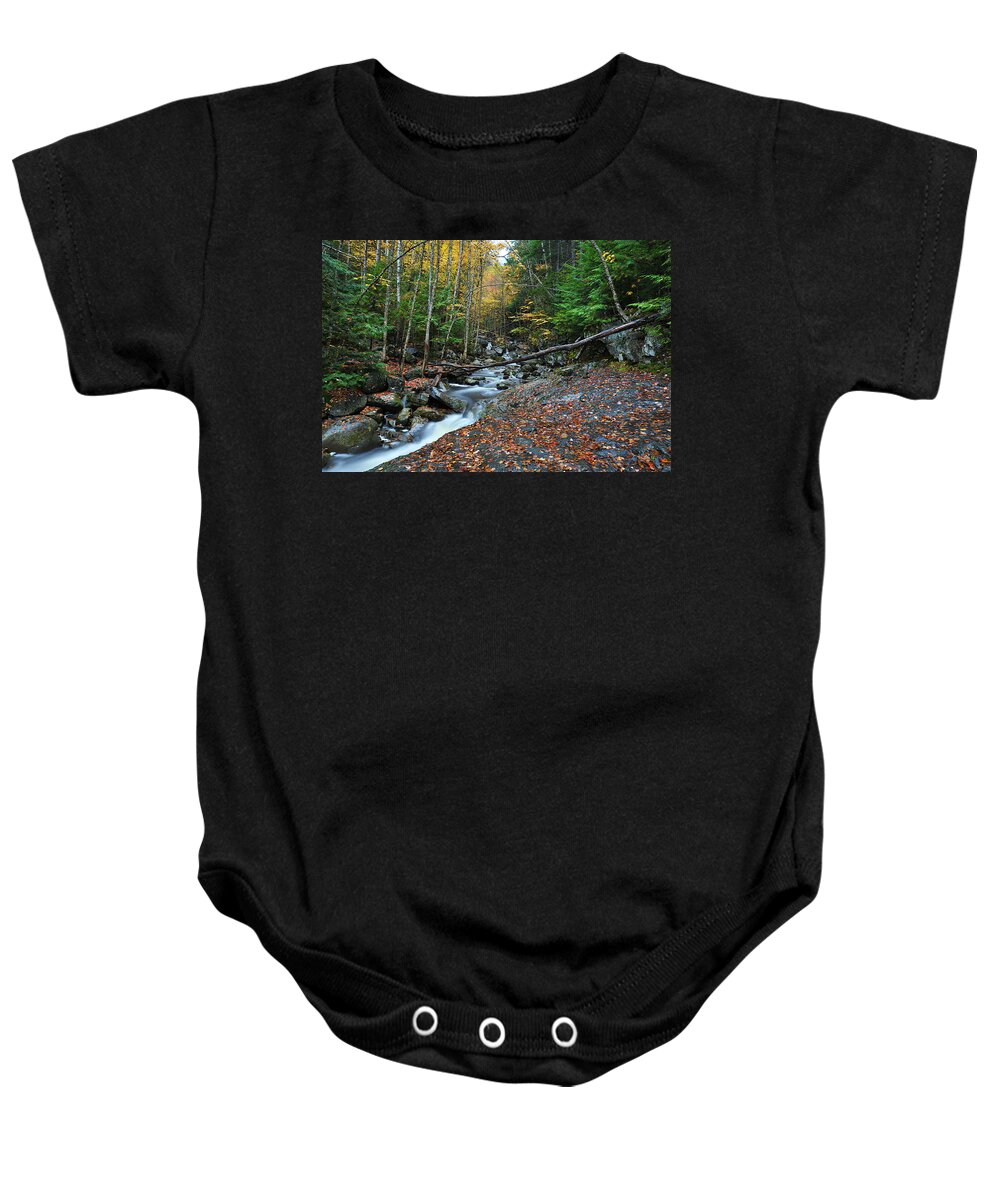 Photograph Baby Onesie featuring the photograph Coffee and Cream by Richard Gehlbach