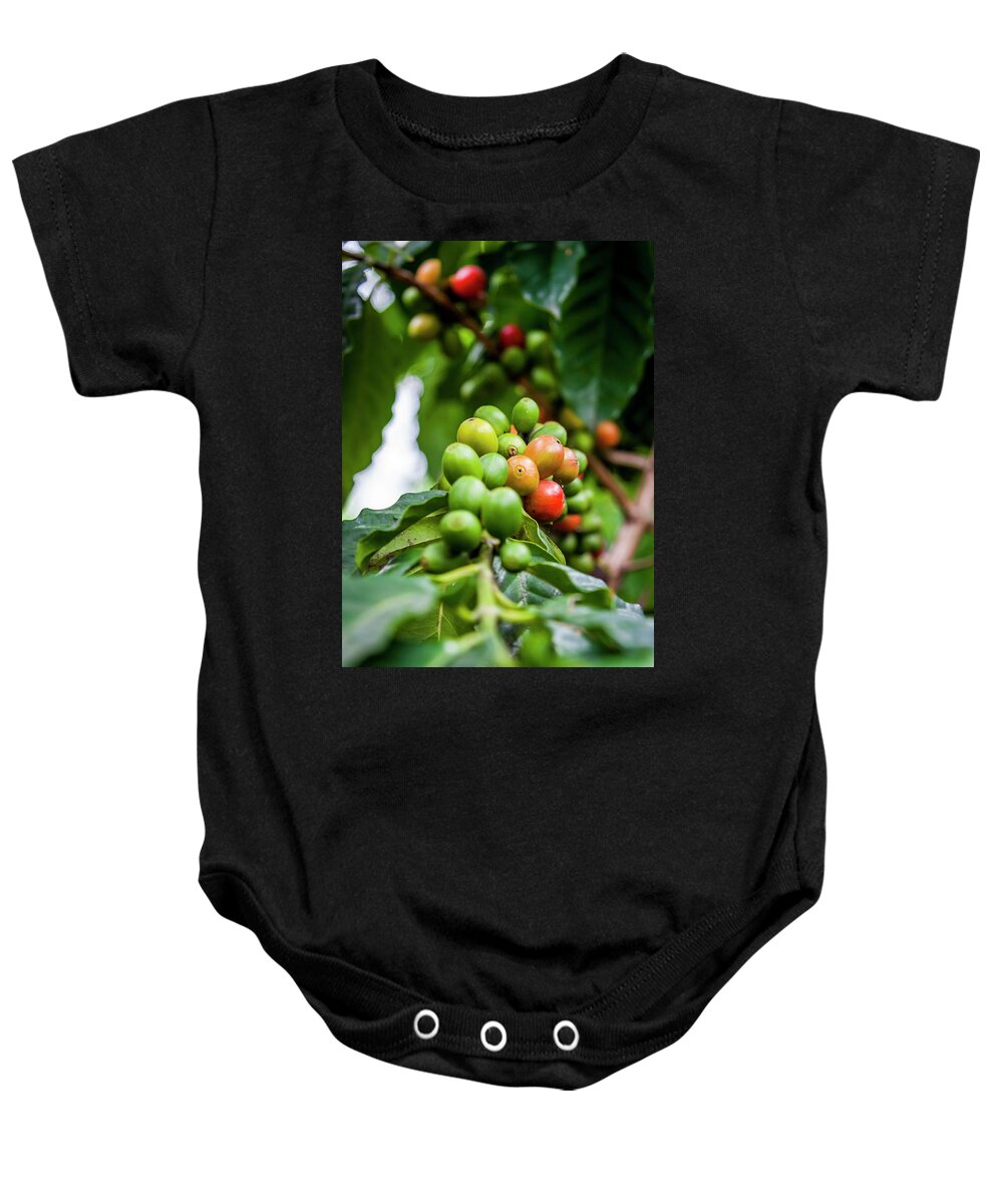 Ecuador Baby Onesie featuring the photograph Coffee Plant by Daniel Murphy