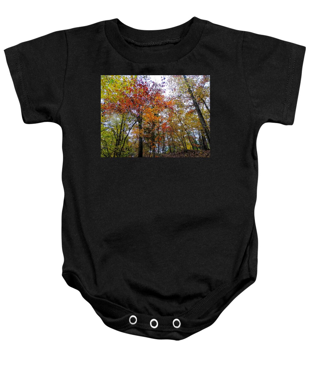 Autumn Baby Onesie featuring the photograph Colorful Forest by Doris Aguirre
