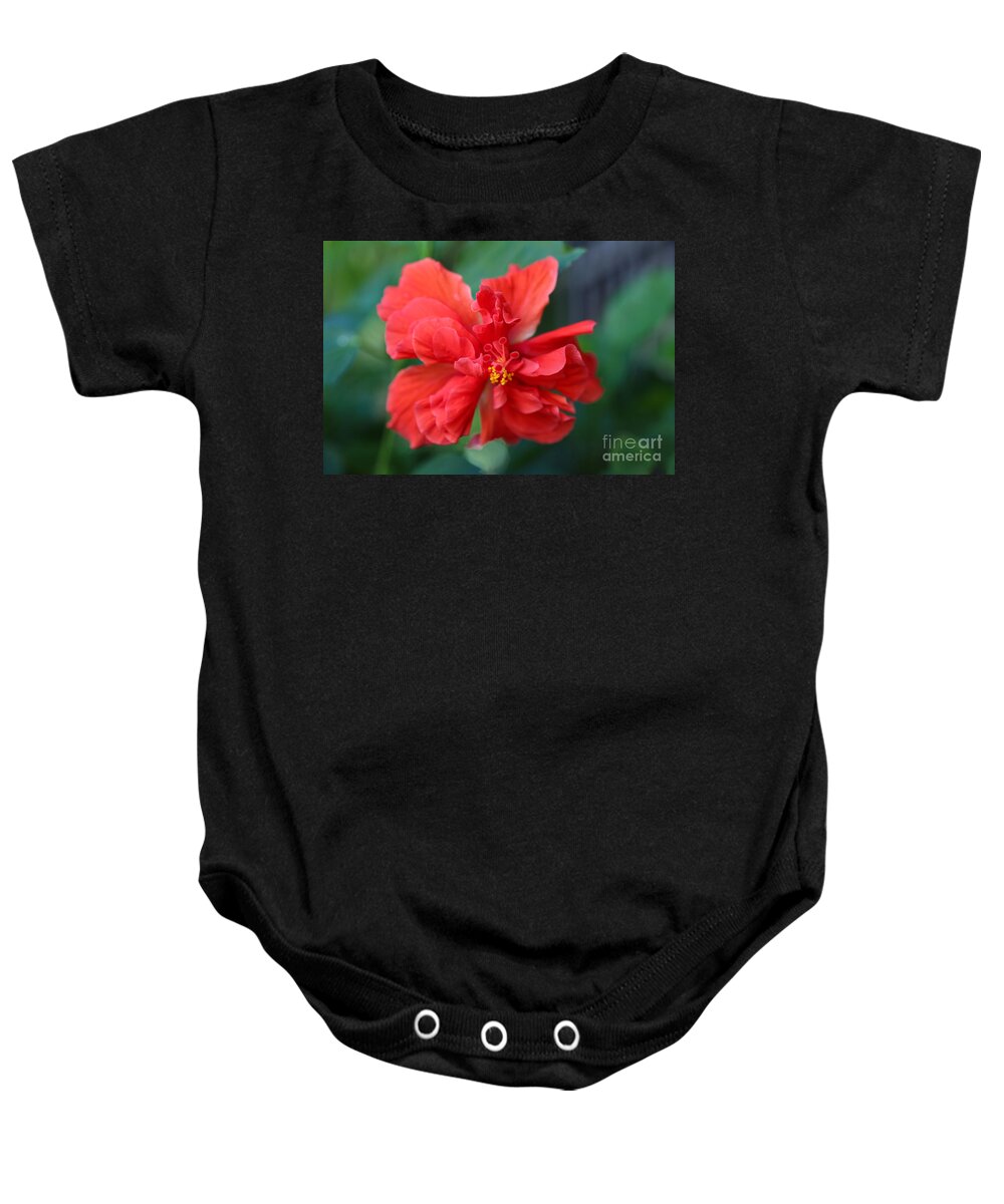 Hibiscus Baby Onesie featuring the photograph Colors of the Tropics Hibiscus by Carol Groenen