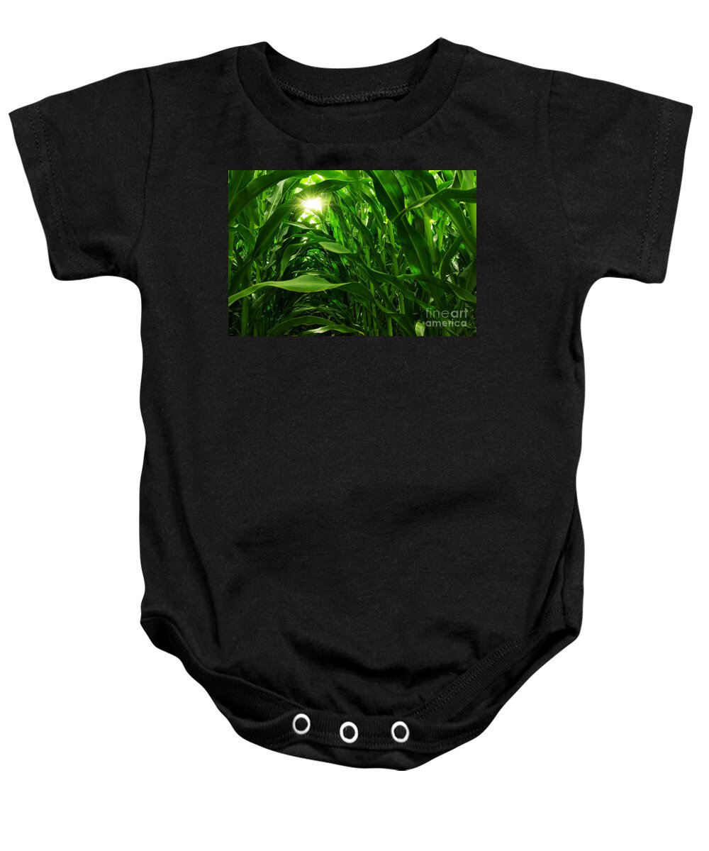 Agriculture Baby Onesie featuring the photograph Corn Field by Carlos Caetano