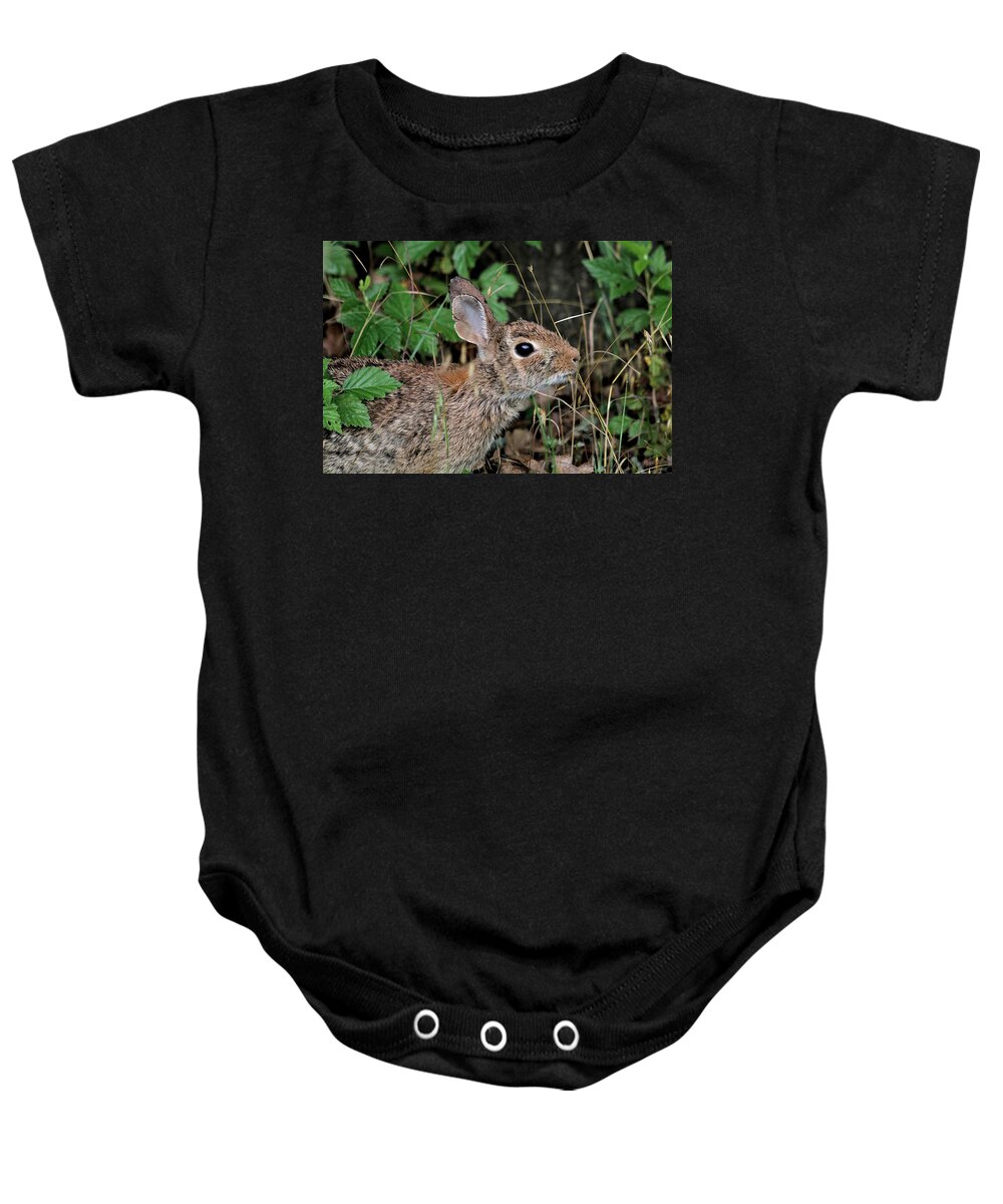 Nature Baby Onesie featuring the photograph Cottontail Bunny Breakfast by Sheila Brown