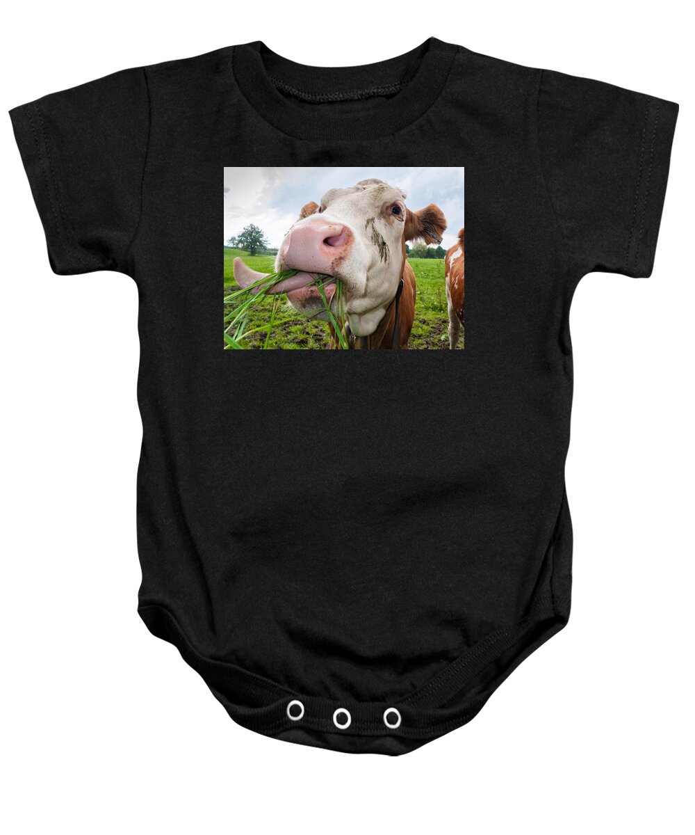 Cow Baby Onesie featuring the photograph Cow eating fresh grass by Matthias Hauser