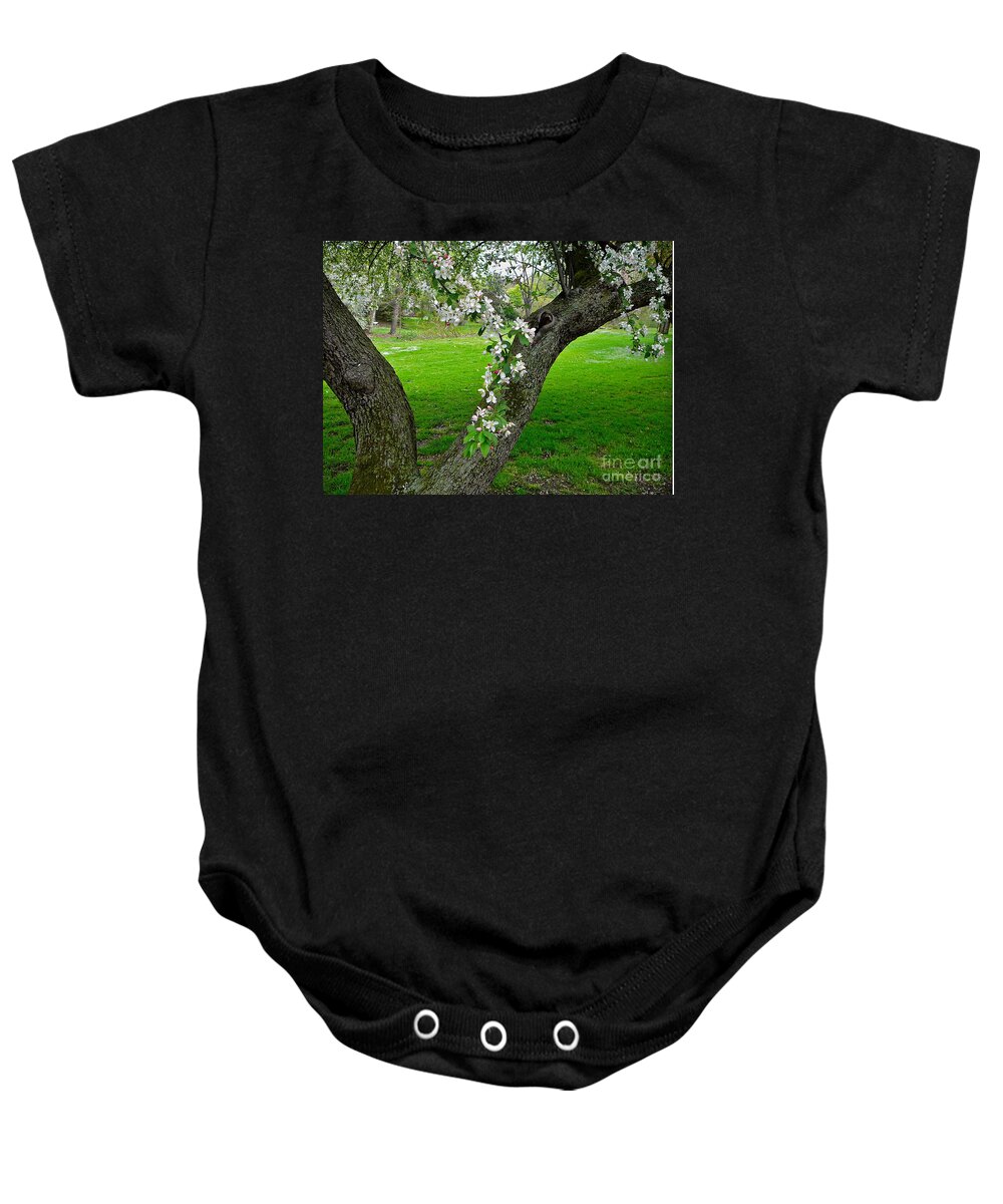 Blossoms Baby Onesie featuring the photograph Crabapple Blossoms On A Rainy Spring Day by Byron Varvarigos