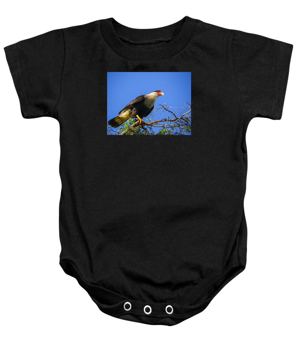 Bird Baby Onesie featuring the photograph Crested Caracar by Dart Humeston