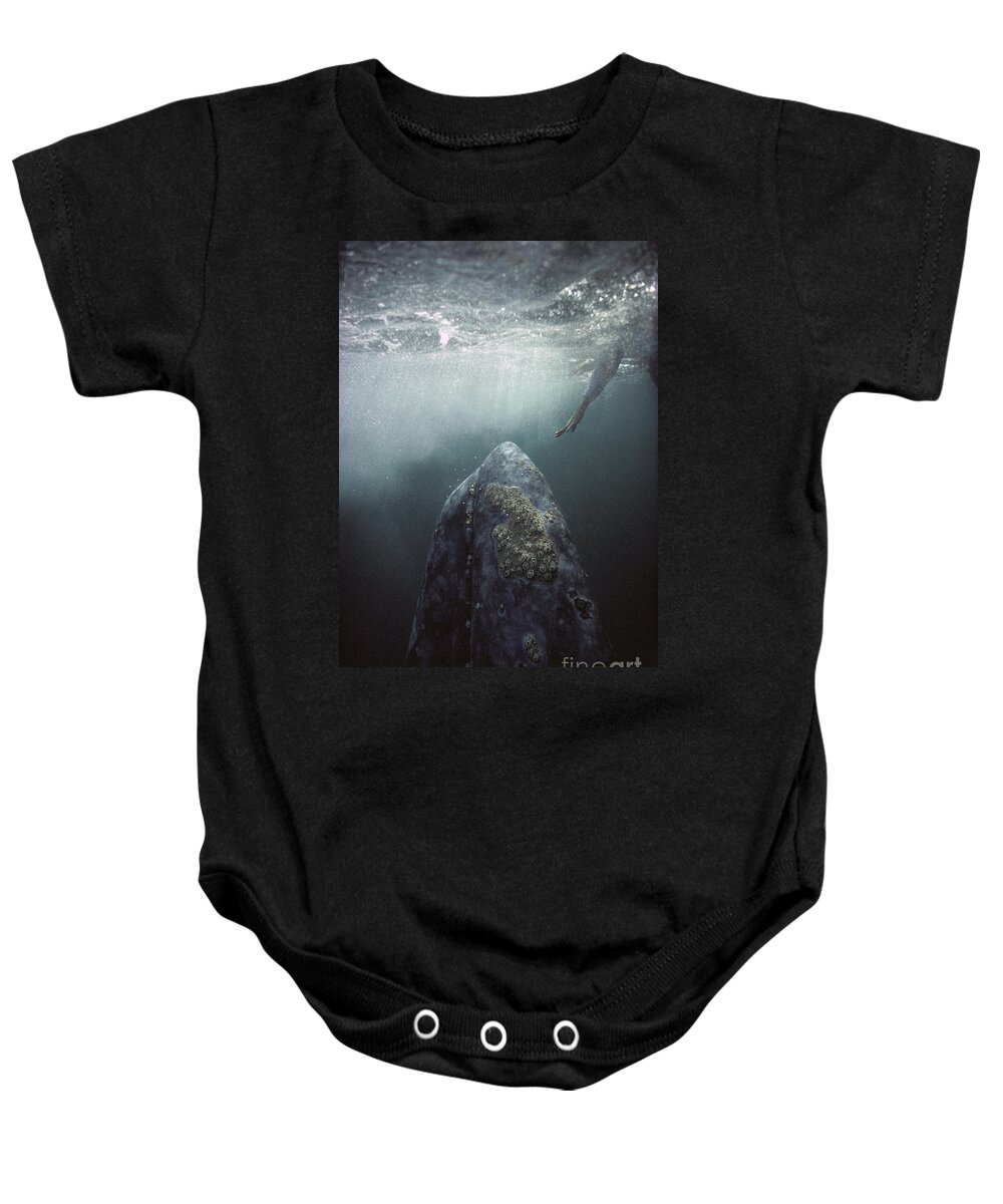 00143390 Baby Onesie featuring the photograph Curious Gray Whale and Tourist by Tui De Roy