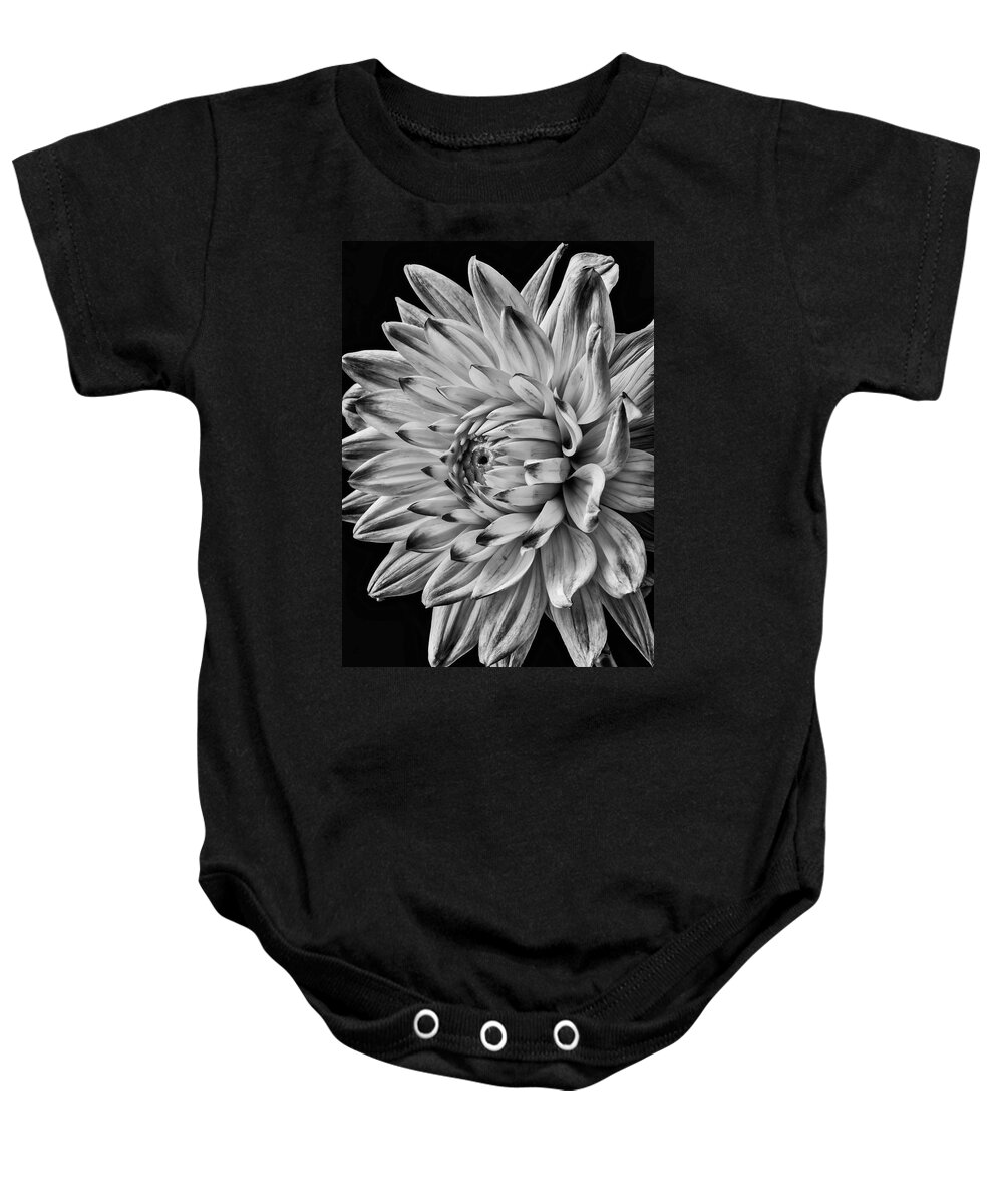 Vertical Baby Onesie featuring the photograph Dahlia Beauty In Black And White by Garry Gay