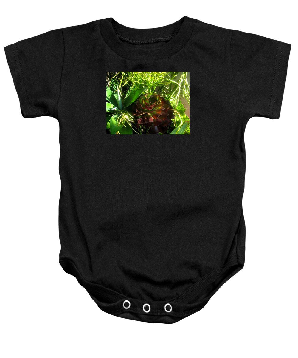 Nature Baby Onesie featuring the photograph Dawning Succulents by Melissa McCrann