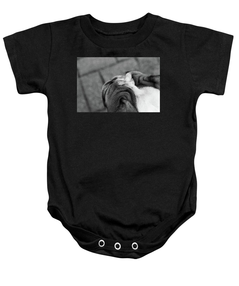 Animal Baby Onesie featuring the photograph Dog 1 by Candace Martinez