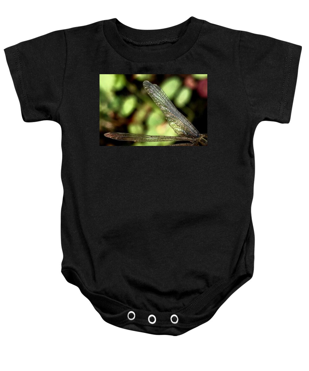 Dragon Fly Baby Onesie featuring the photograph Dragon Fly Wings by Sarah Lilja