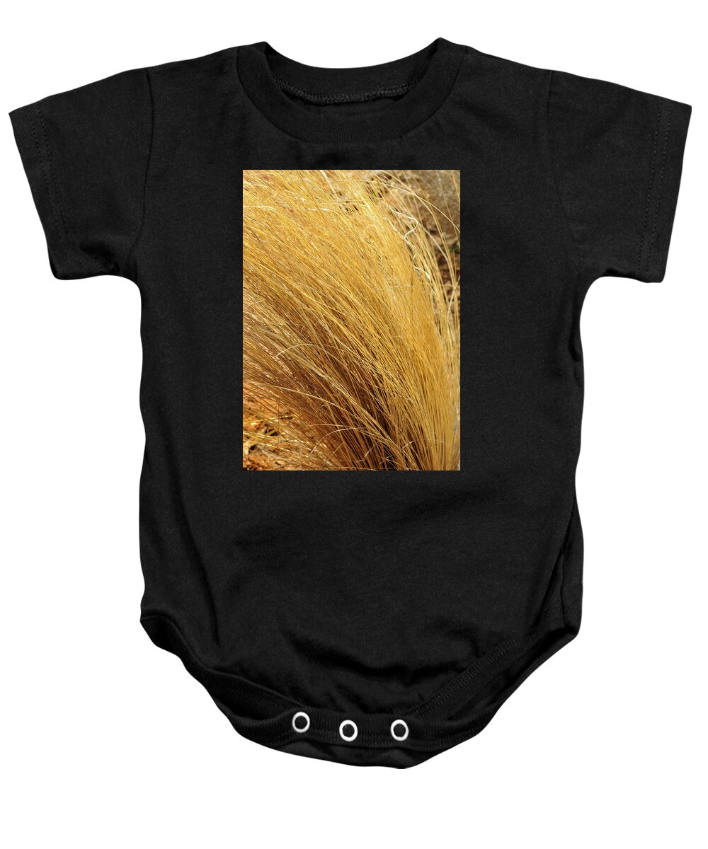 Landscape Baby Onesie featuring the photograph Dried Grass by Ron Cline