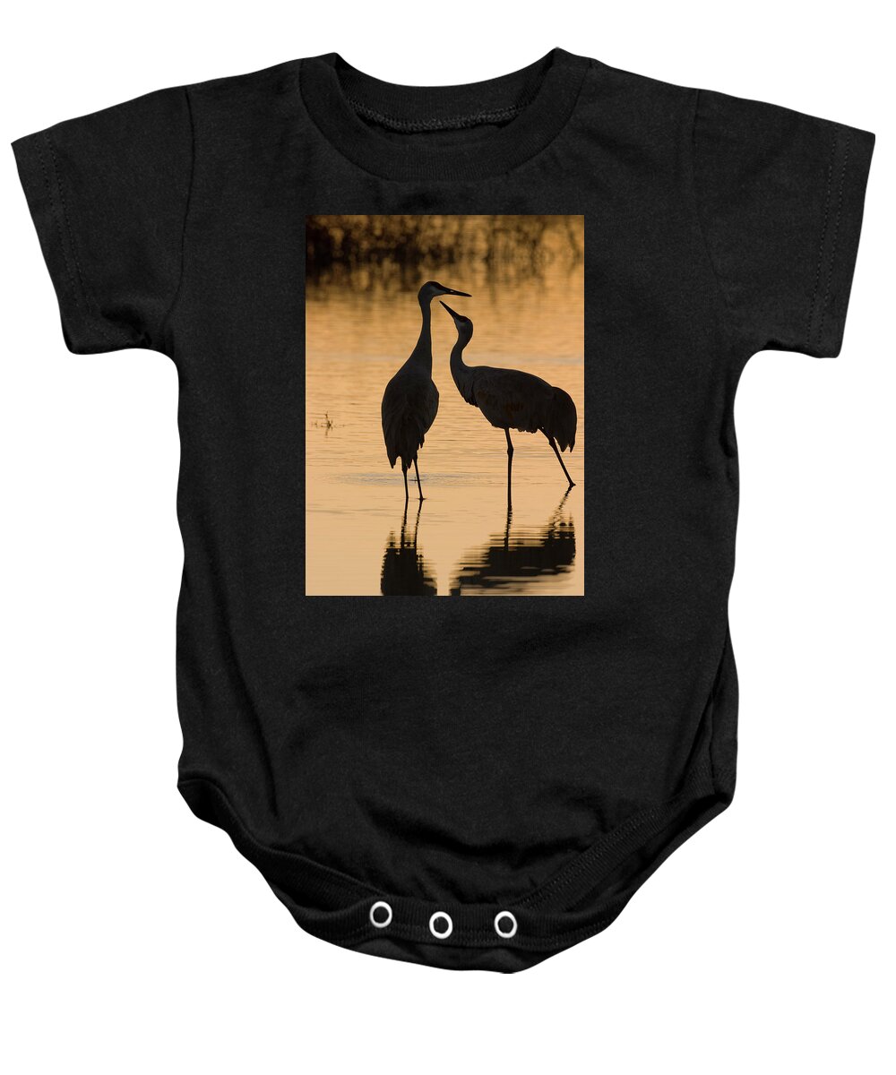 Wild Baby Onesie featuring the photograph Duet of Cranes by Mark Miller