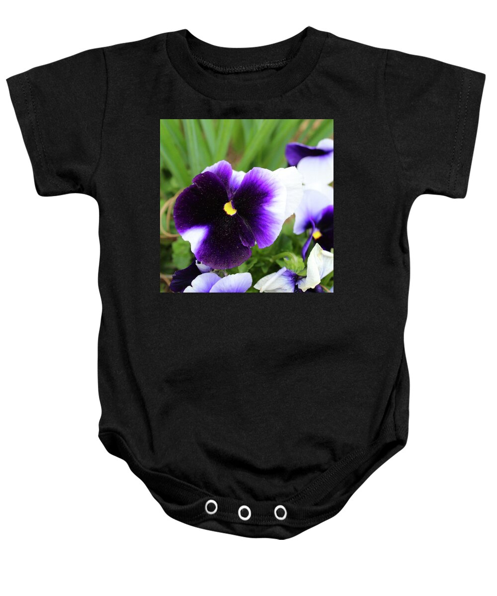 Photography Baby Onesie featuring the photograph Dusted Purple Pansy by M E
