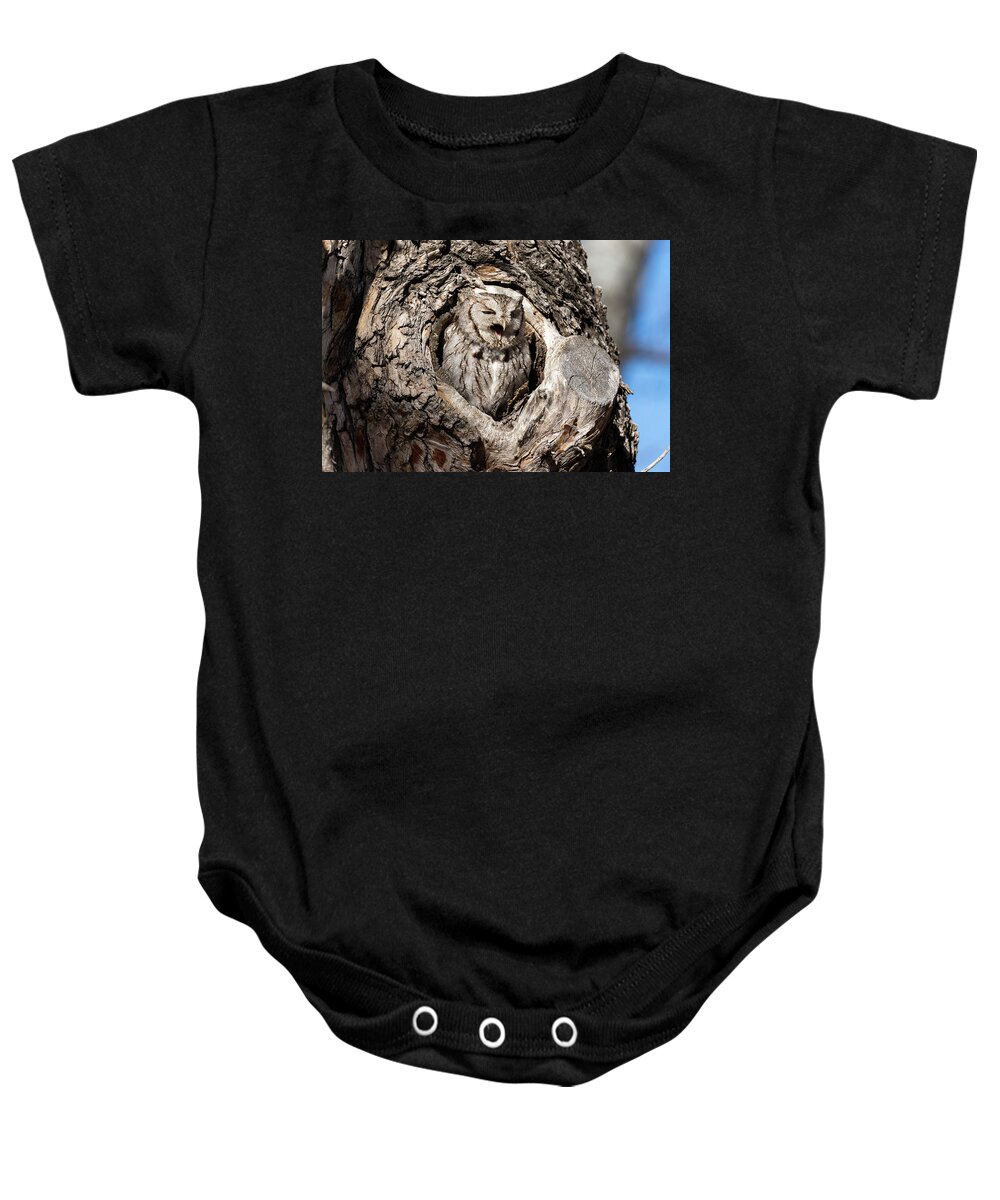 Owl Baby Onesie featuring the photograph Eastern Screech Owl Makes Some Noise by Tony Hake