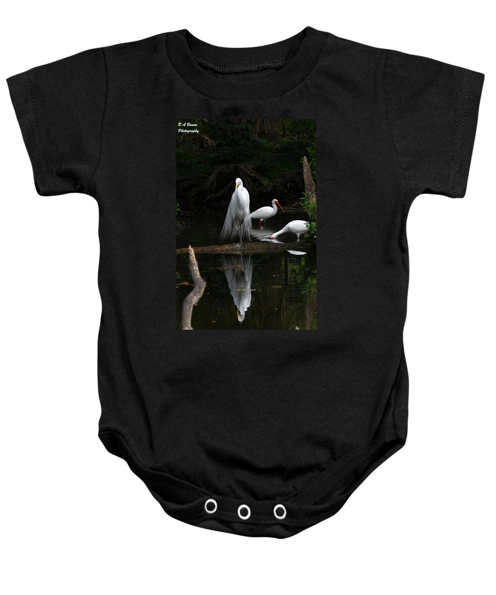 Great White Egret Baby Onesie featuring the photograph Egret Reflection by Barbara Bowen