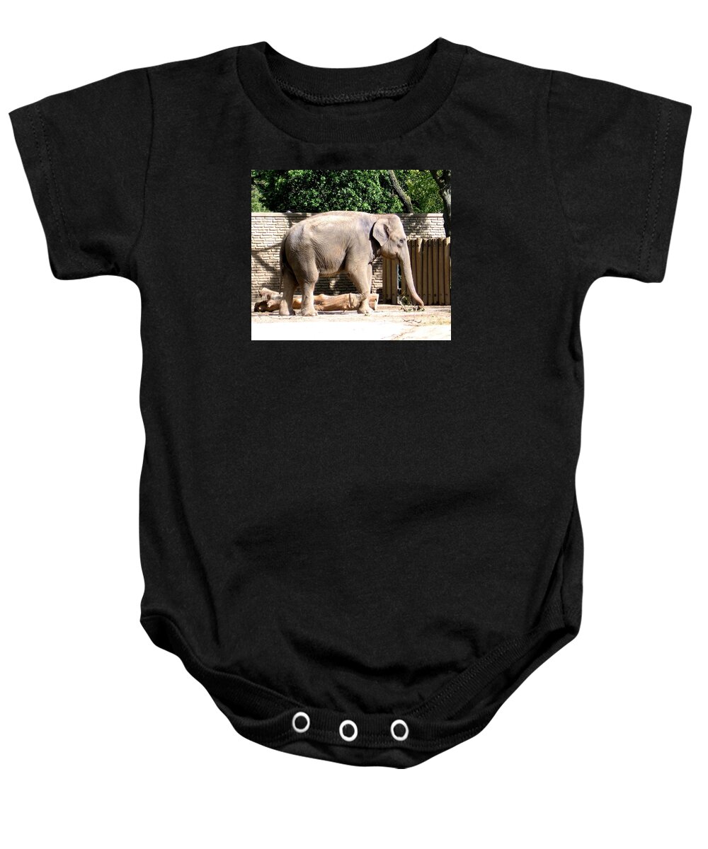 Elephants Baby Onesie featuring the photograph Elephant by Rose Santuci-Sofranko
