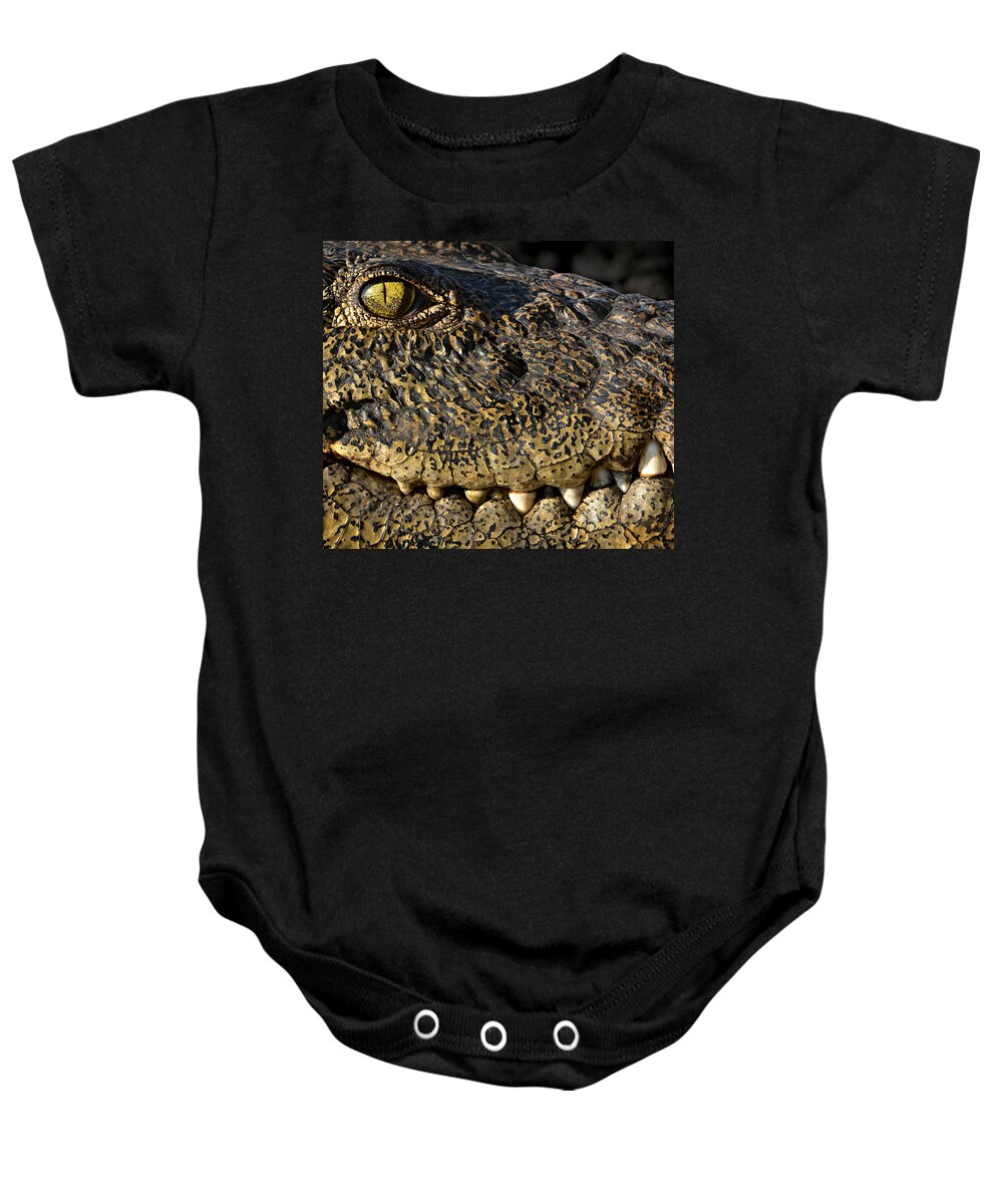 Crocodile Baby Onesie featuring the photograph Epitome of Evil by Joe Bonita