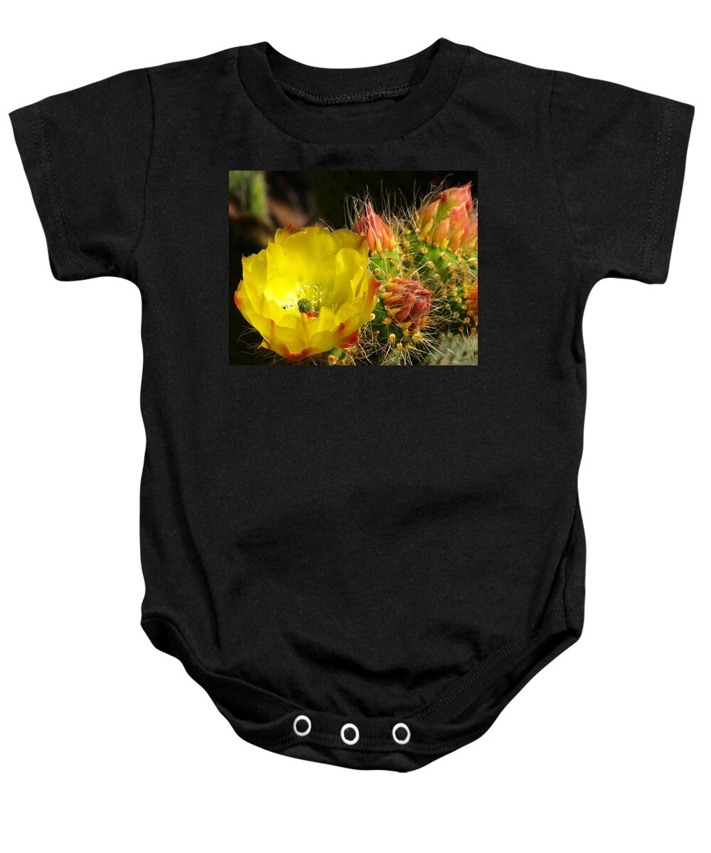 Yellow Baby Onesie featuring the photograph Silks Among Needles by Steven Robiner