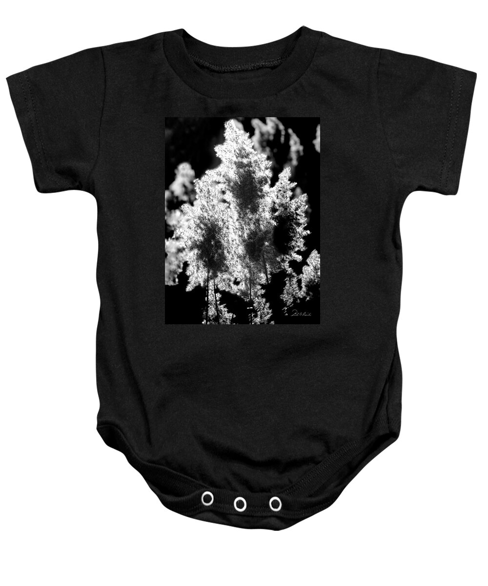 Cat Tails Baby Onesie featuring the photograph Exploded Cat Tails by Frederic A Reinecke