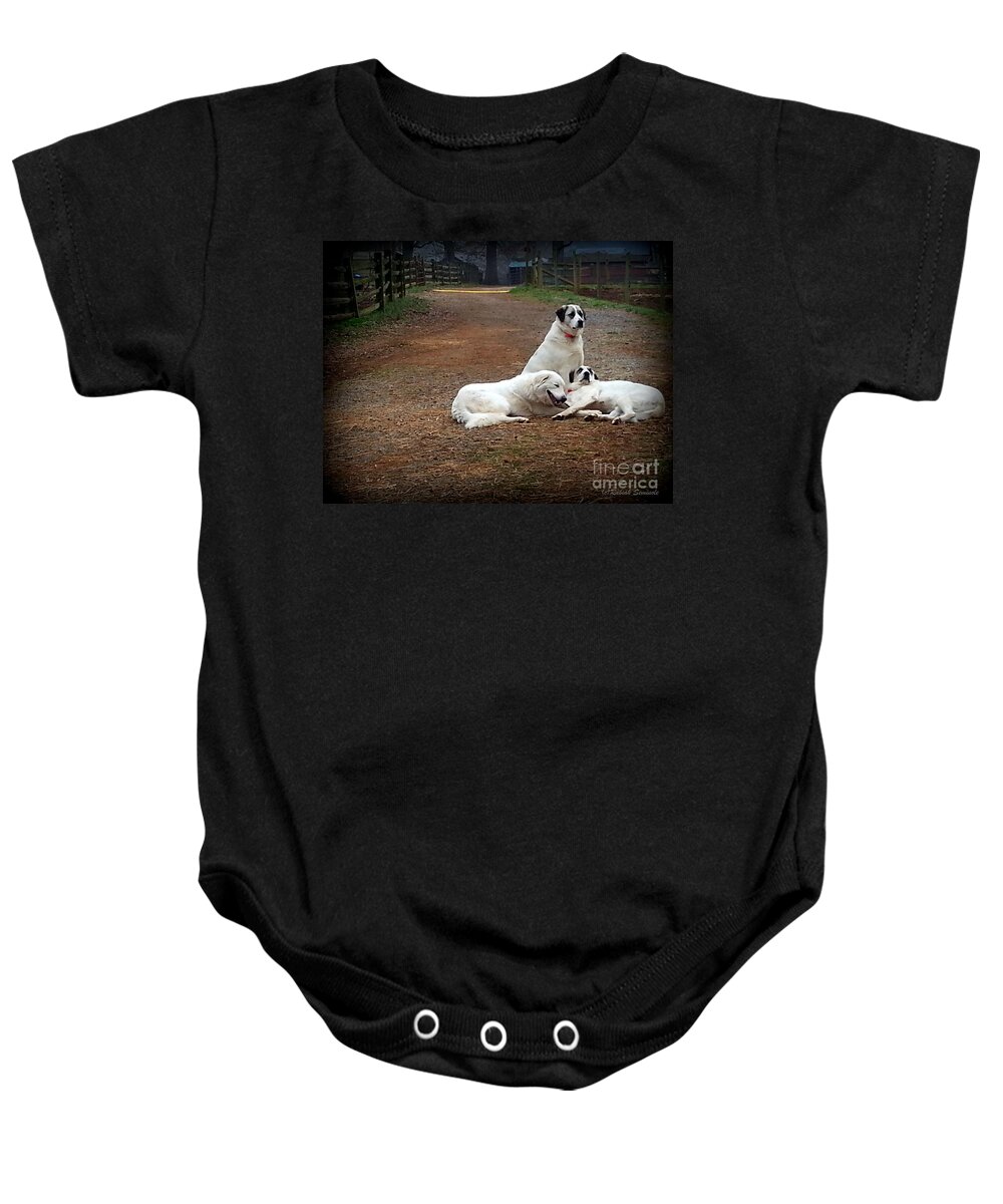 Dogs Baby Onesie featuring the photograph Family Portrait by Rabiah Seminole