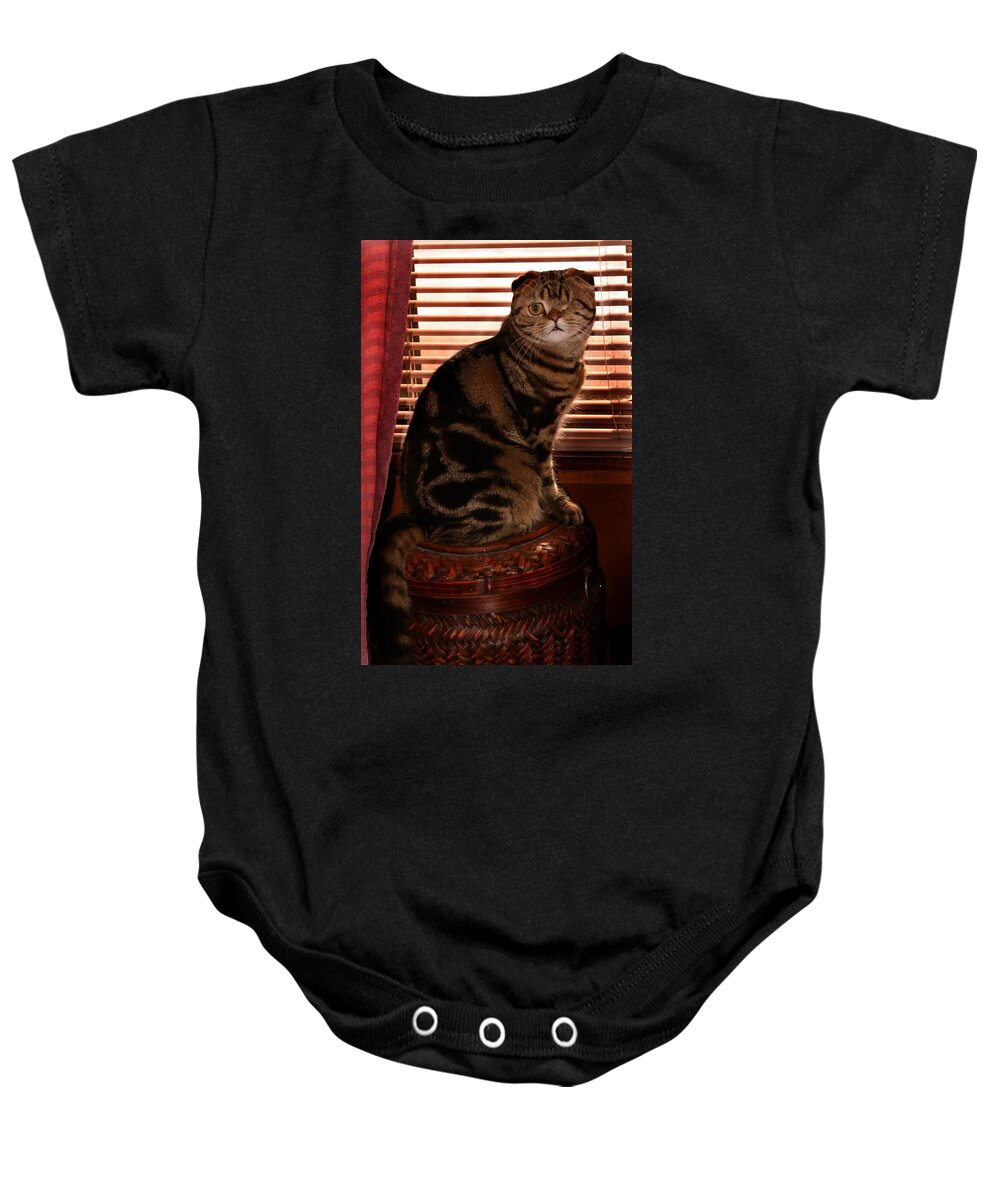 Scottish Fold Baby Onesie featuring the pyrography February 2007 by Robert Morin