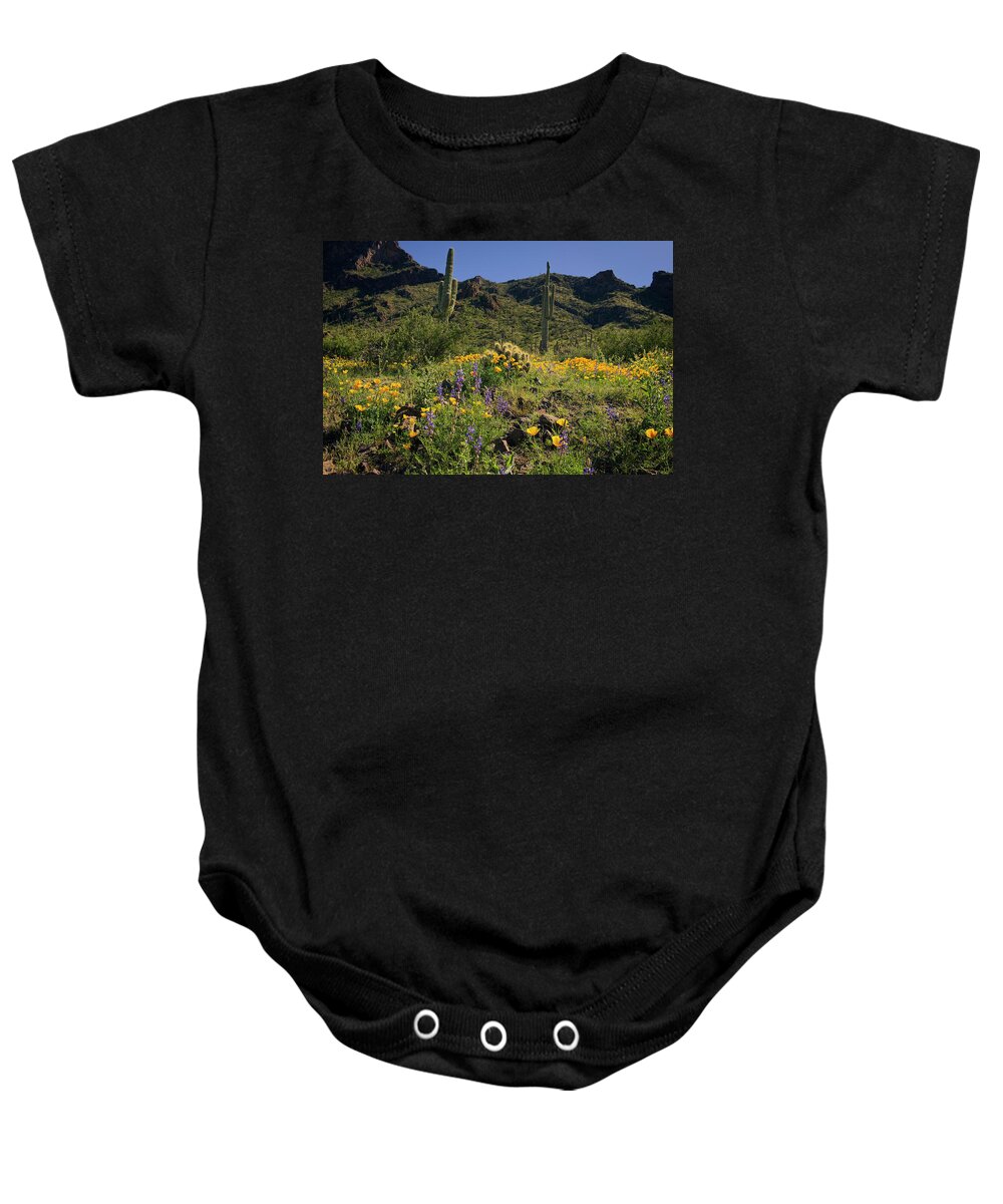Picacho Peak State Park Baby Onesie featuring the photograph Fields of Glory by Lucinda Walter