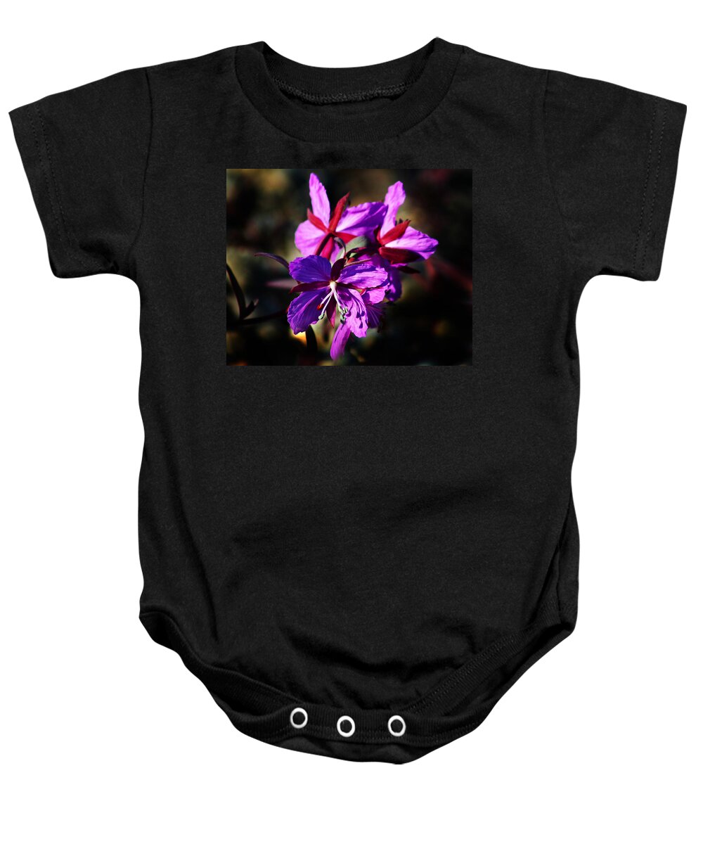 Fireweed Baby Onesie featuring the photograph Fireweed by Anthony Jones