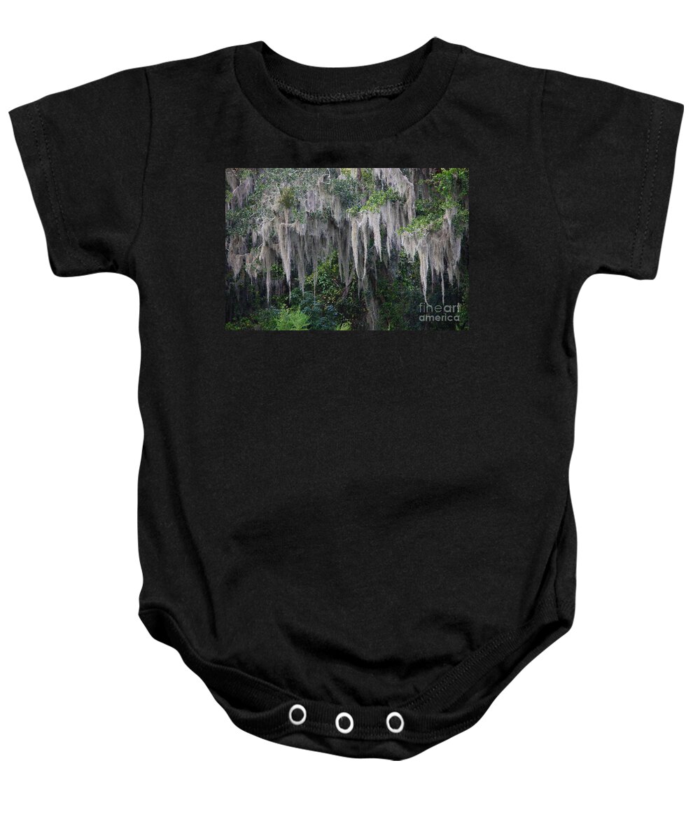 Spanish Moss Baby Onesie featuring the photograph Florida Mossy Tree by Carol Groenen